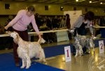 ВЫСТАВКИ - Мемориал Сабанеева 2012